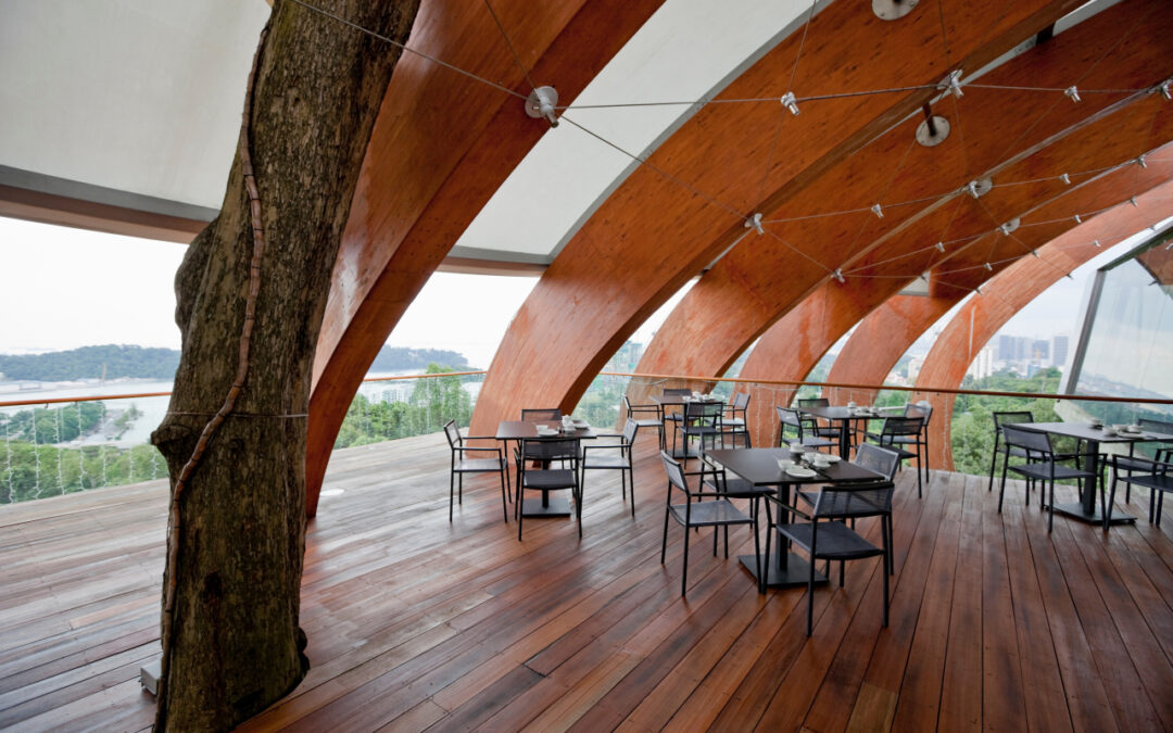 Szwedzkie drewno w nowoczesnym budownictwie – dlaczego warto inwestować w jakość z północy